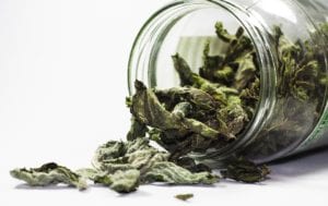 Smokable Herbs You May Not Have Considered Smokable Herbs You May Not Have Considered