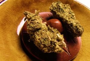 cannabis humidity cannabis humidity