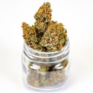 Learn How to Store Cannabis Properly Learn How to Store Cannabis Properly