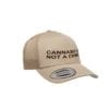 “Not a Crime” Retro Trucker Hat – Tan