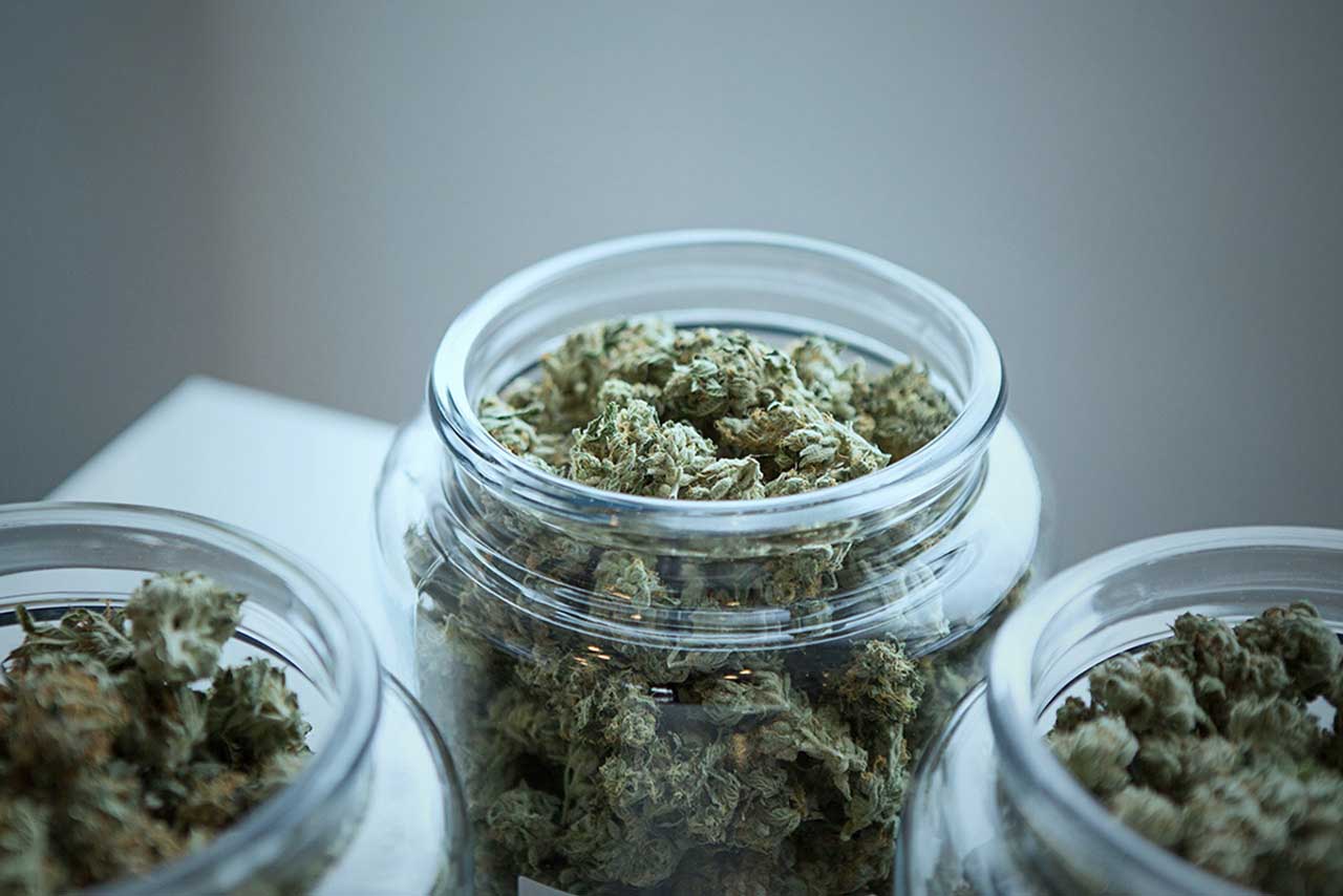 Medical Marijuana Vs. Recreational Marijuana: What’s The Difference?