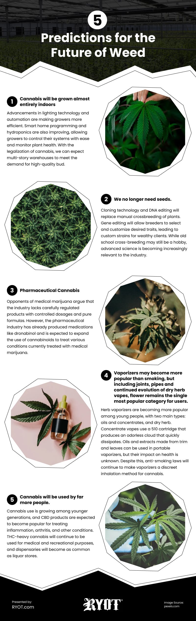 5 Predictions for the Future of Weed Infographic