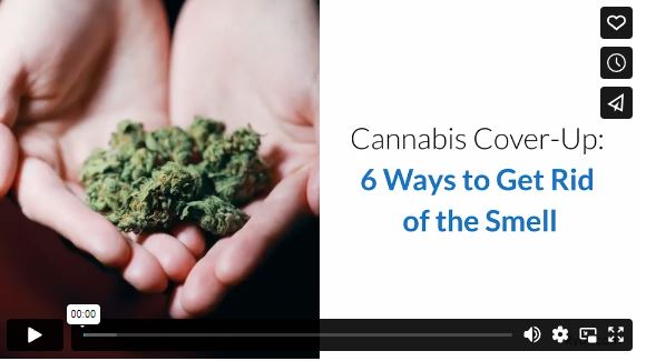 Cannabis Cover-Up: 6 Ways to Get Rid of the Smell