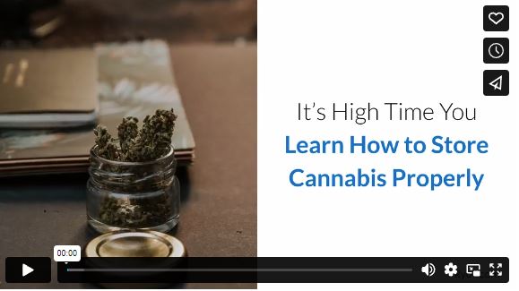It’s High Time You Learn How to Store Cannabis Properly