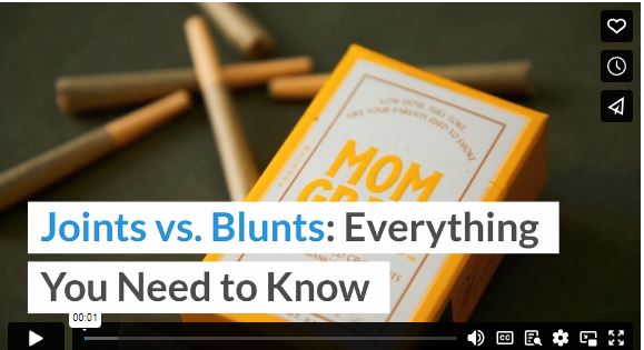 Joints vs. Blunts: Everything You Need to Know1