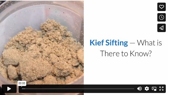 Kief Sifting – What is There to Know?