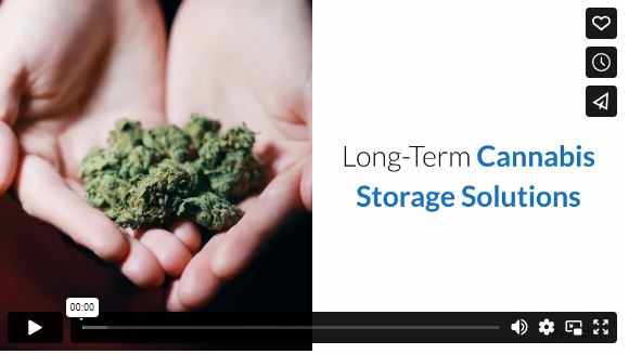 Long-Term Cannabis Storage Solutions