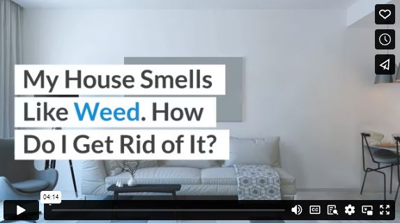 My House Smells Like Weed. How Do I Get Rid of It?