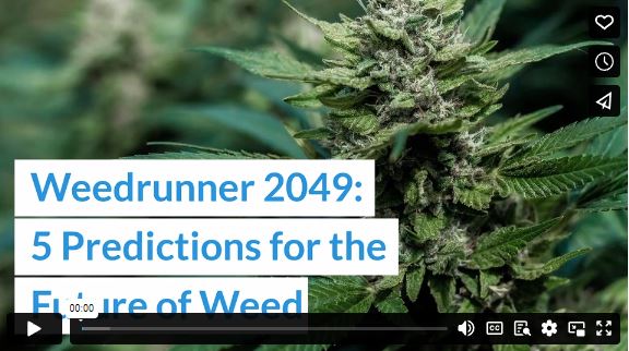 Weedrunner 2049: 5 Predictions for the Future of Weed